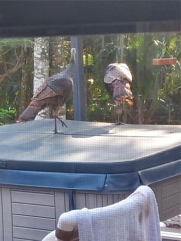 1798 HIDEAWAY LANE, Edgewater, FL 32132