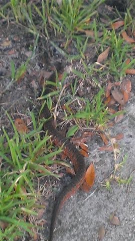 1798 HIDEAWAY LANE, Edgewater, FL 32132