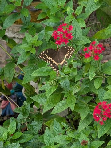 1798 HIDEAWAY LANE, Edgewater, FL 32132