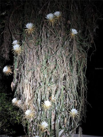 1798 HIDEAWAY LANE, Edgewater, FL 32132