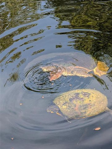 1798 HIDEAWAY LANE, Edgewater, FL 32132