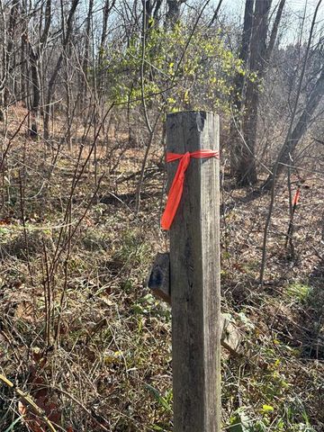 00 Faussett Road, Fenton, MI 48430