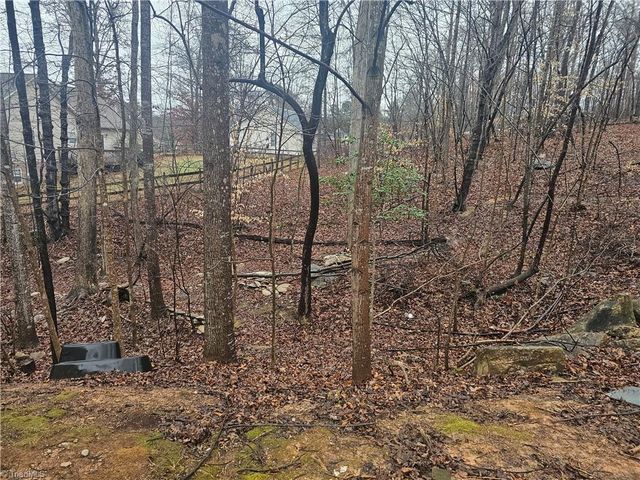 2548 Strawberry Lane, Randleman, NC 27317