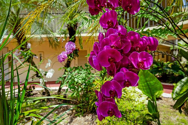 5160 Las Verdes Circle 117, Delray Beach, FL 33484