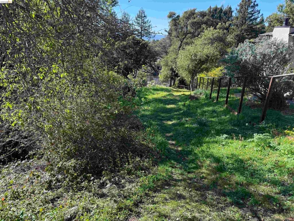 Image 57 of property listing at 1179 Keith AVE, Berkeley, CA 94708