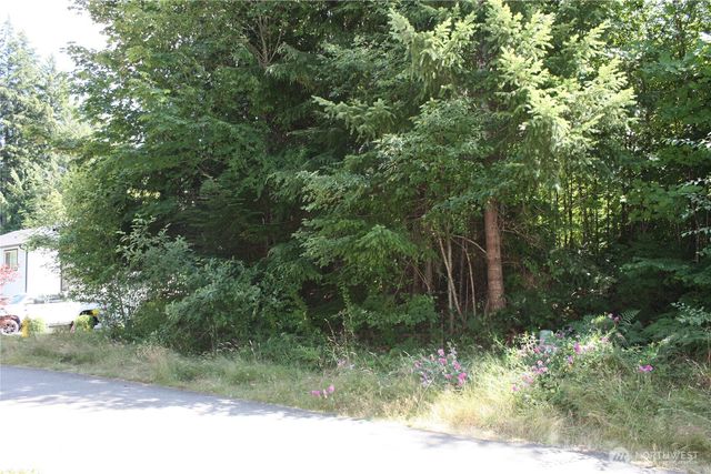 80 E Ellinor Peak Place, Belfair, WA 98528
