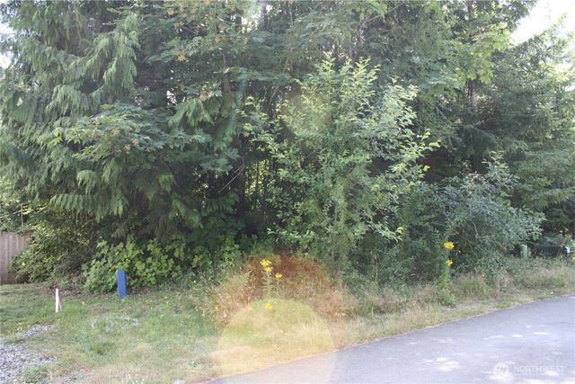 80 E Ellinor Peak Place, Belfair, WA 98528