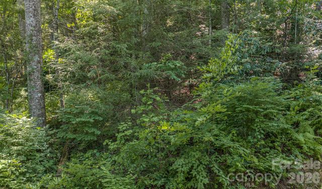 0 Woodlyn Etch Drive 1, Hendersonville, NC 28792