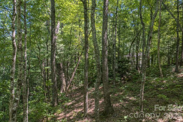 0 Woodlyn Etch Drive 1, Hendersonville, NC 28792