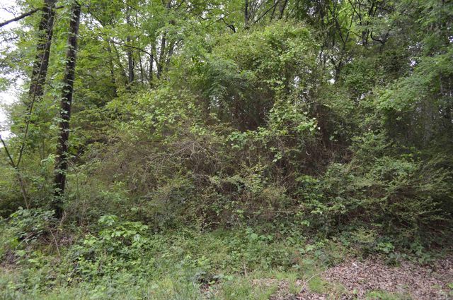 100 W Clinton Street, Heber Springs, AR 72543