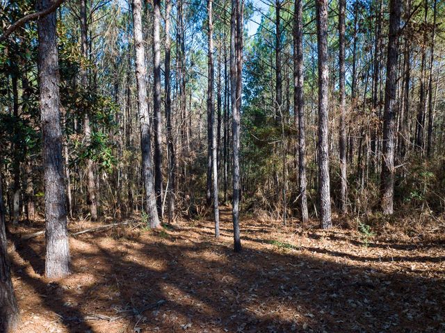 3320 Farm to Market 3065, Colmesneil, TX 75938