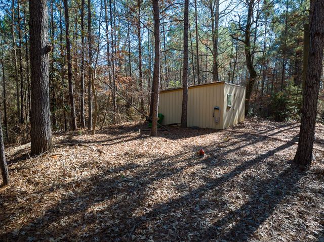 3320 Farm to Market 3065, Colmesneil, TX 75938