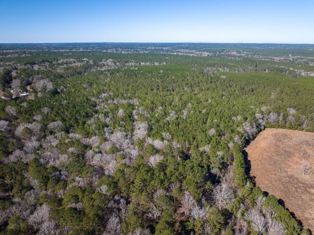 3320 Farm to Market 3065, Colmesneil, TX 75938