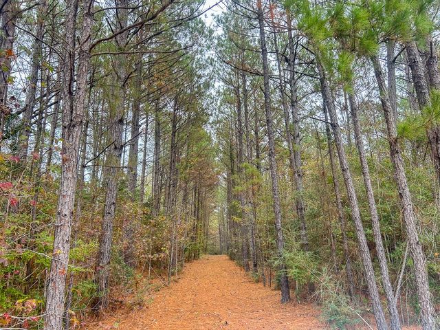 3320 Farm to Market 3065, Colmesneil, TX 75938