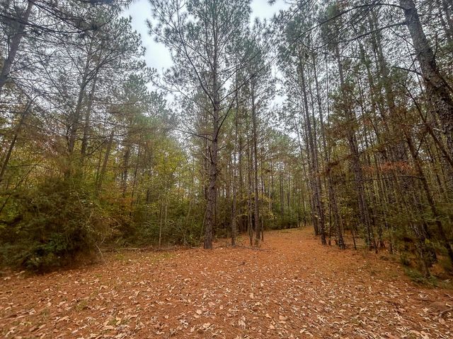 3320 Farm to Market 3065, Colmesneil, TX 75938