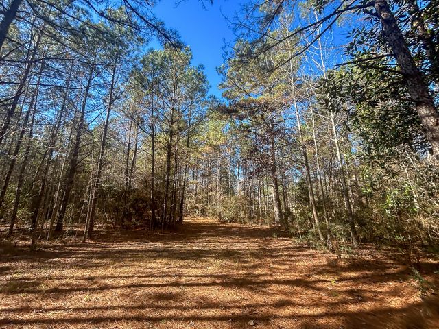 3320 Farm to Market 3065, Colmesneil, TX 75938