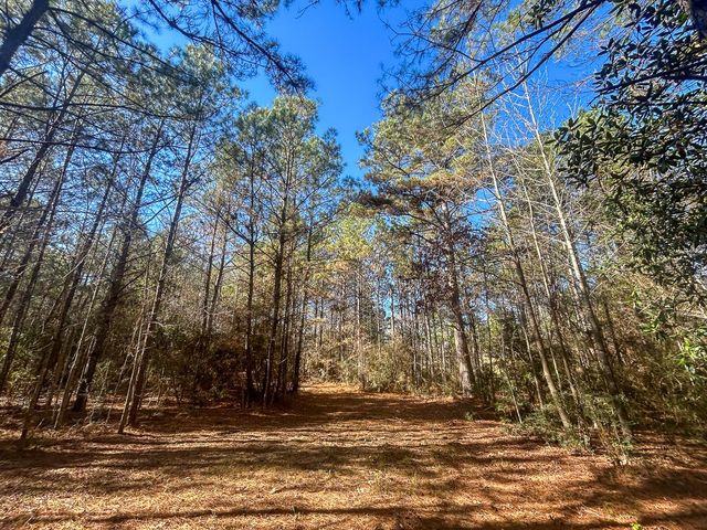 3320 Farm to Market 3065, Colmesneil, TX 75938