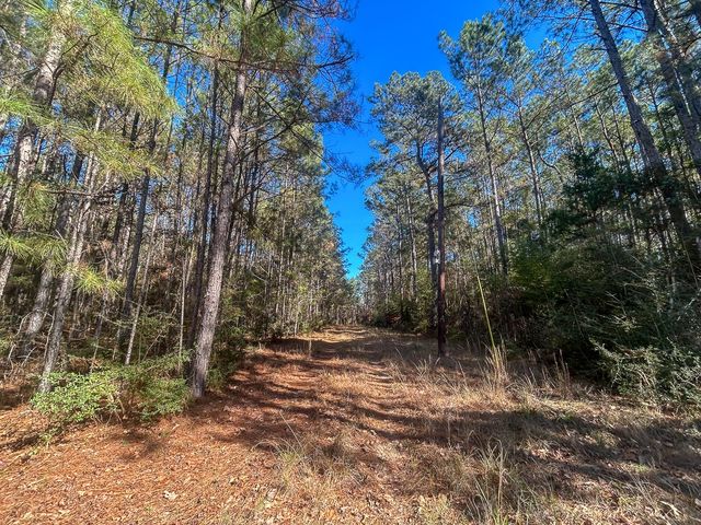 3320 Farm to Market 3065, Colmesneil, TX 75938