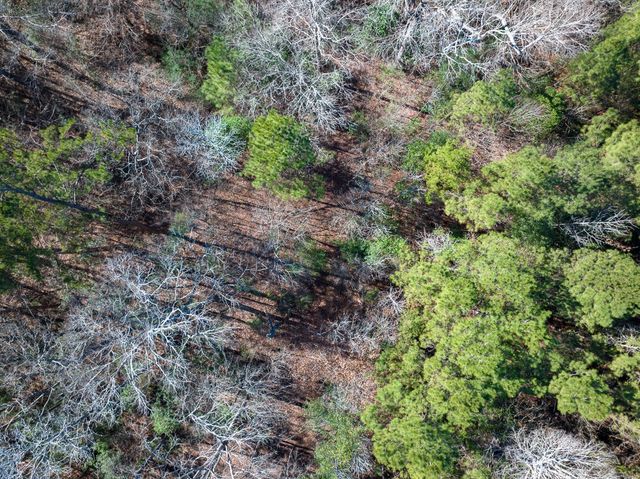 3320 Farm to Market 3065, Colmesneil, TX 75938