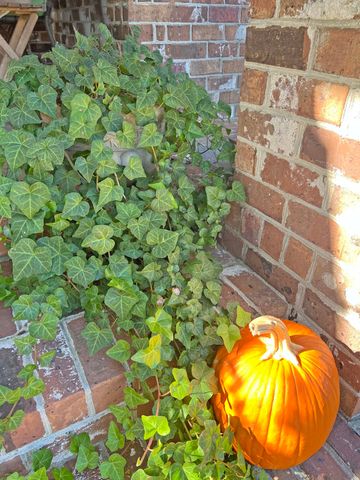 1223 Fishing Place, Summerton, SC 29148