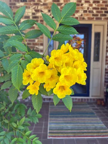 1223 Fishing Place, Summerton, SC 29148