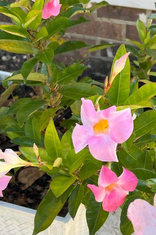 1223 Fishing Place, Summerton, SC 29148