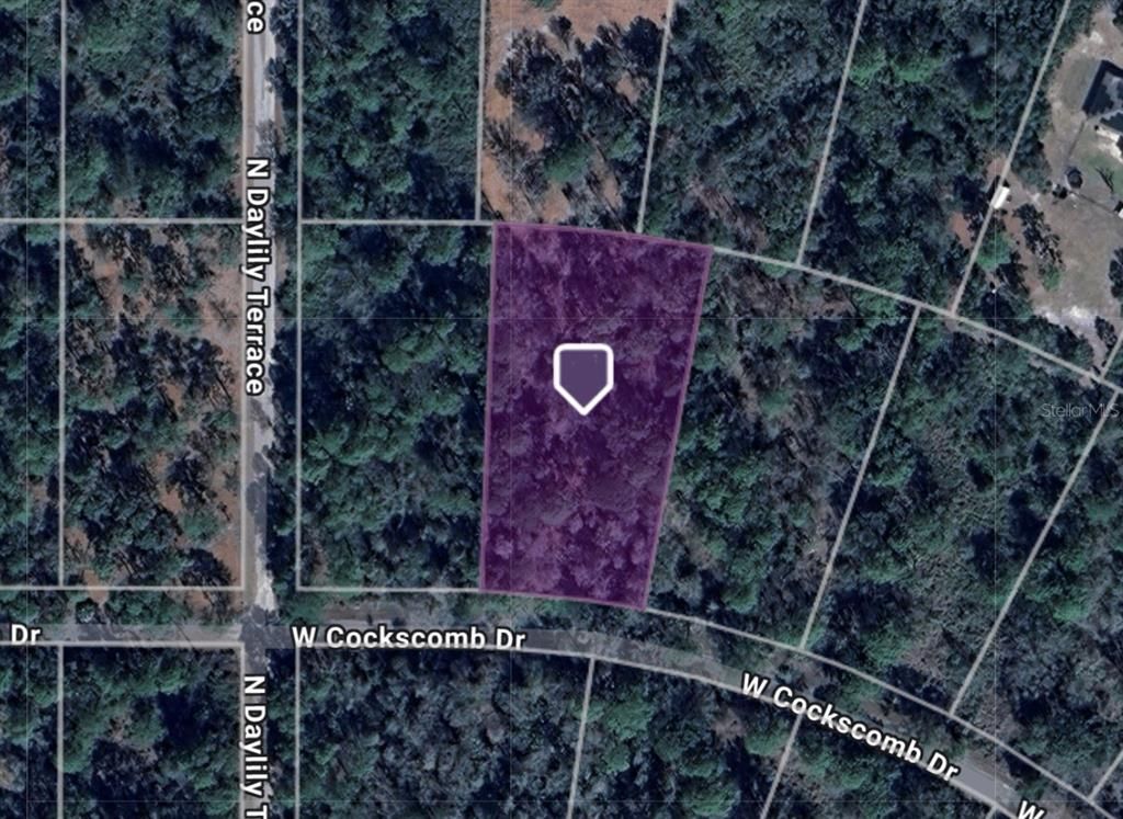 11543 W COCKSCOMB DRIVE, Crystal River, FL 34428