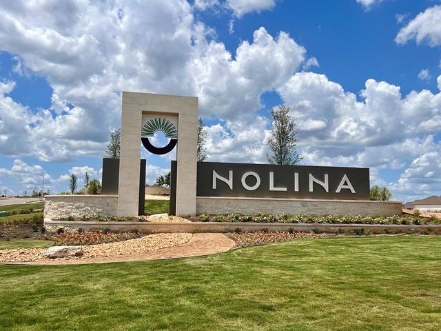 140 Pipe Cactus PASS, Georgetown, TX 78633