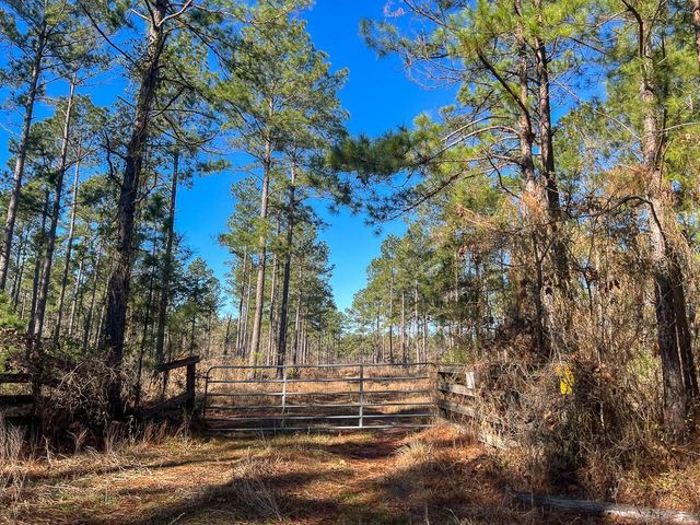 5 Louisville Road, Pennington, TX 75845