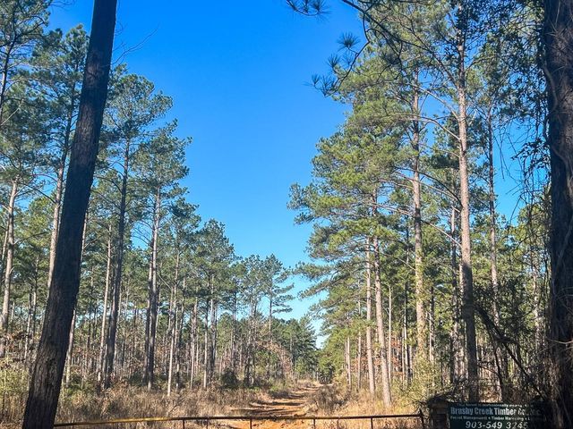 5 Louisville Road, Pennington, TX 75845