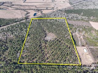 5 Louisville Road, Pennington, TX 75845