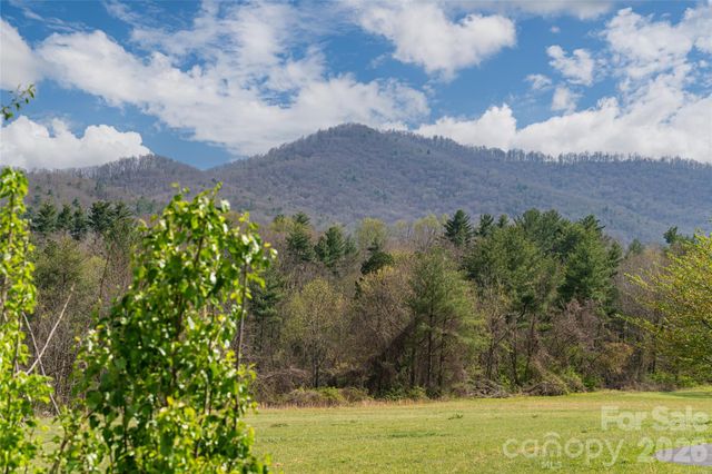 35 Alice Clement Lane, Asheville, NC 28803