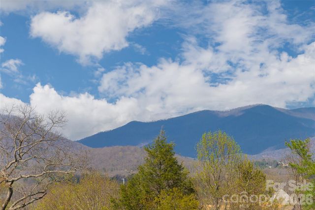35 Alice Clement Lane, Asheville, NC 28803
