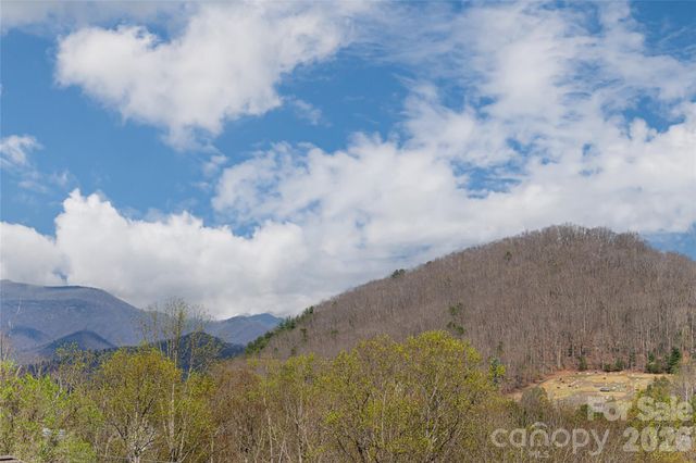 35 Alice Clement Lane, Asheville, NC 28803