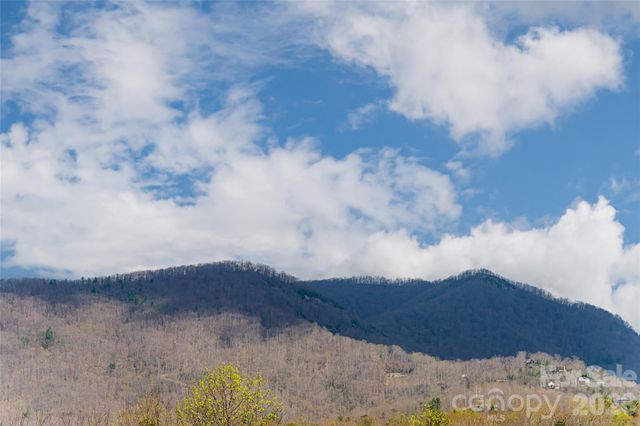 35 Alice Clement Lane, Asheville, NC 28803