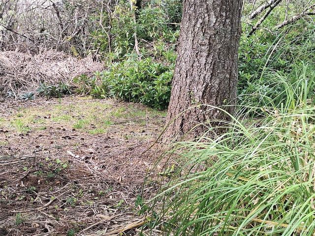 818 W Ocean Avenue, Westport, WA 98595