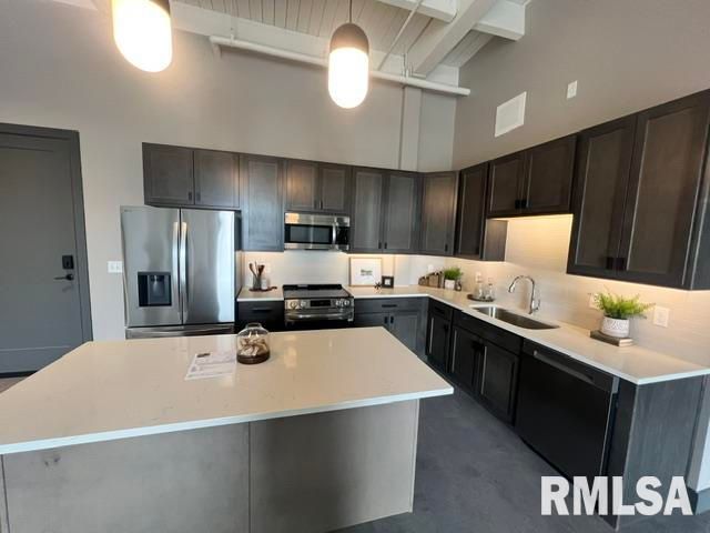 1001 SW Adams St Unit 303, Peoria, IL 61602