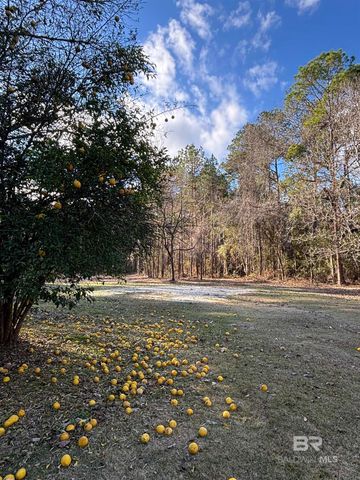 53400 Hixson Road, Stockton, AL 36579