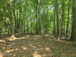 16 Trentwood Terrace, Crossville, TN 38558