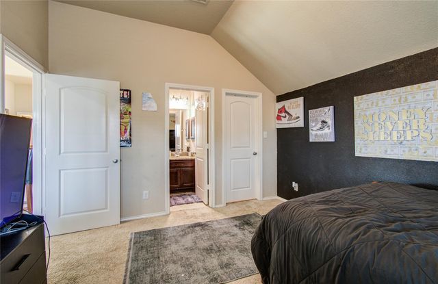 2939 Driftwood Bend Drive, Fresno, TX 77545