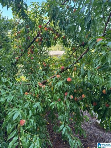 3240 MOCKINGBIRD LANE, Hoover, AL 35226