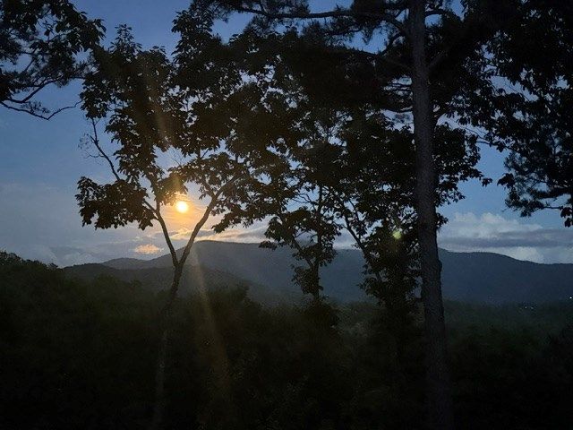 254 Leatherwood Mountain Road, Ellijay, GA 30540