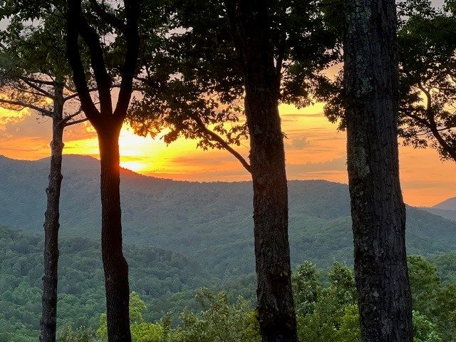 254 Leatherwood Mountain Road, Ellijay, GA 30540