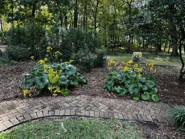 2006 NW 23RD STREET, Gainesville, FL 32605