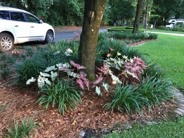 2006 NW 23RD STREET, Gainesville, FL 32605