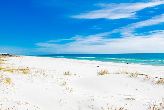 527 Beach Club Trail D-1106, Gulf Shores, AL 36542