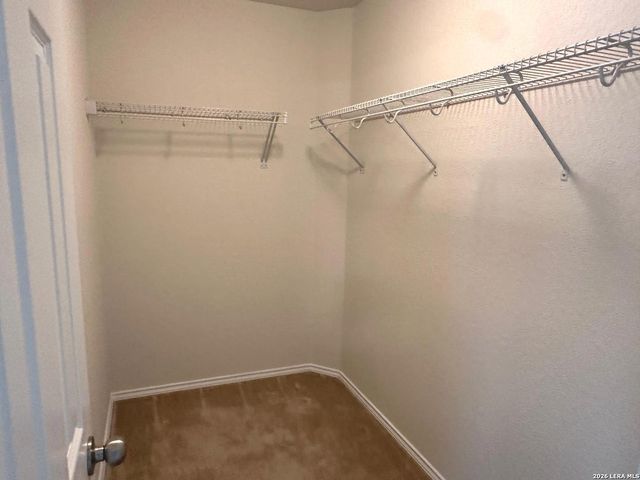 24251 Invitation Oak, San Antonio, TX 78261