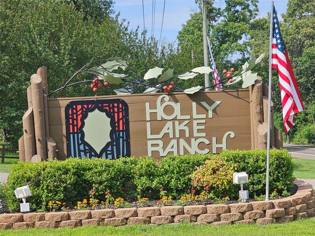 411 Green Meadow Trail, Holly Lake Ranch, TX 75765