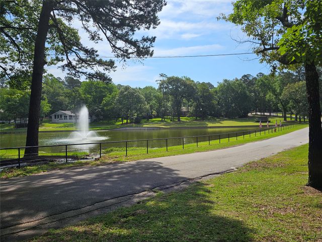 411 Green Meadow Trail, Holly Lake Ranch, TX 75765