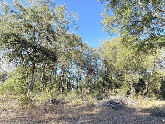 15331 NE 3RD LANE, Williston, FL 32696